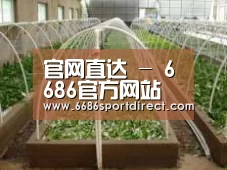 环境展示五