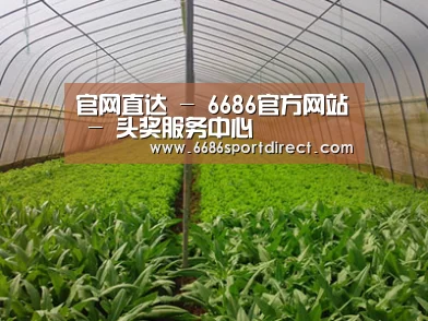种植基地四