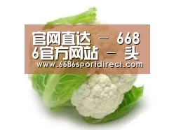 产品名称九