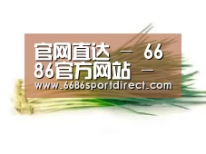 产品名称二