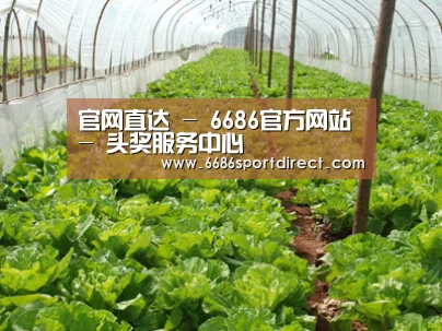 种植基地五