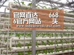 环境展示六
