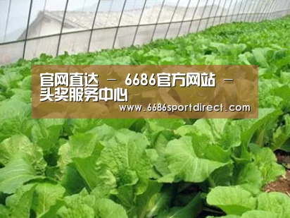 种植基地一