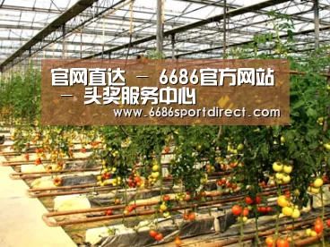 种植基地二(图1)