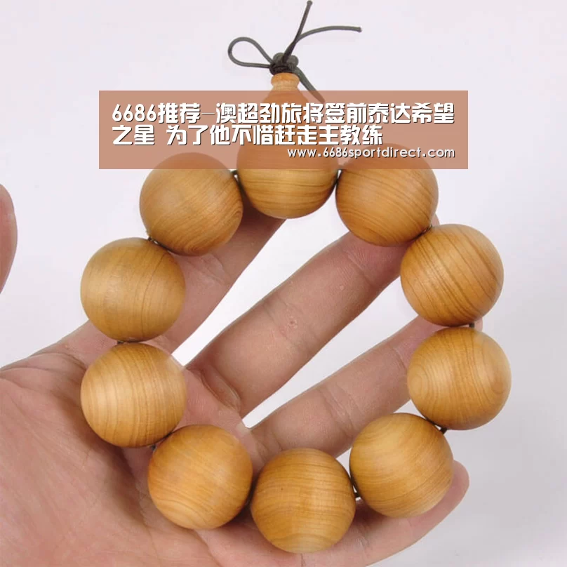6686推荐-澳超劲旅将签前泰达希望之星 为了他不惜赶走主教练(图1) 6686体验