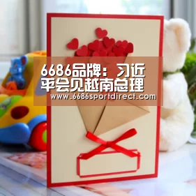 6686体验