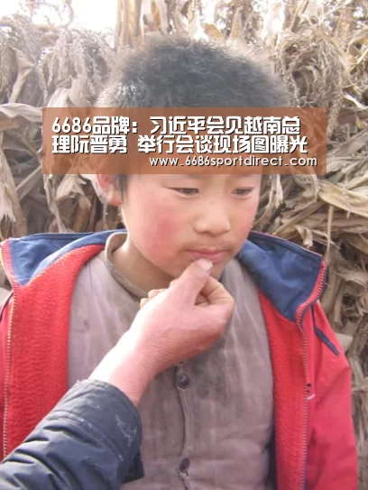 6686体验