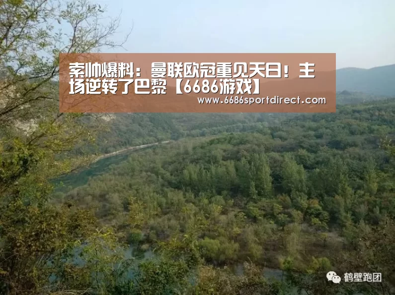 6686品牌