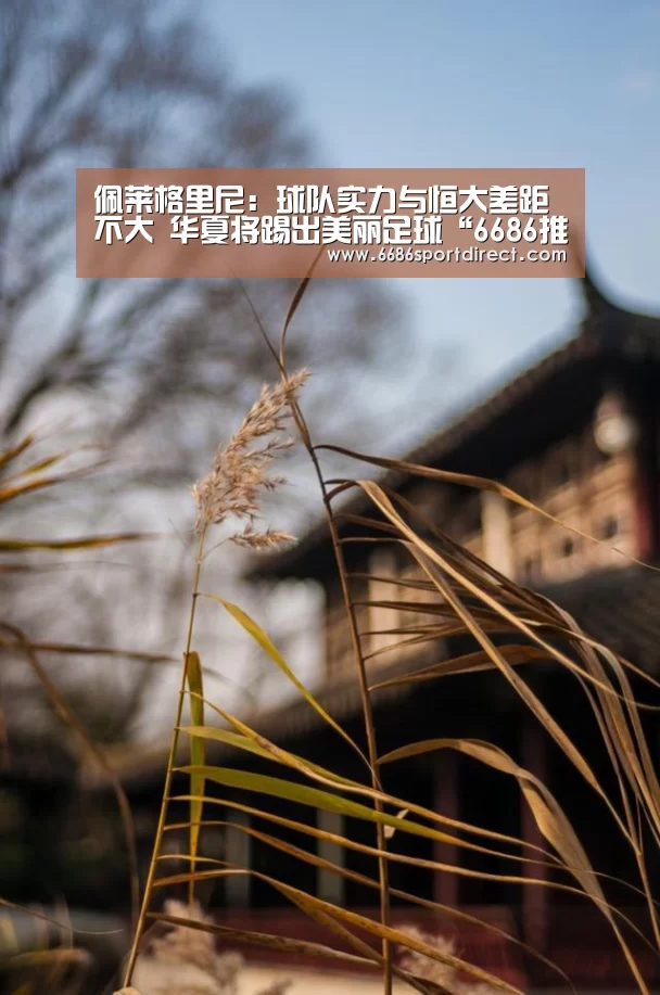 6686推荐